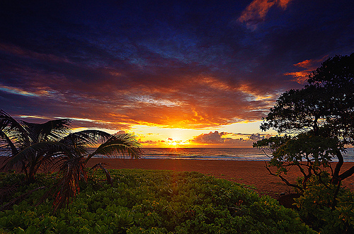sunrise